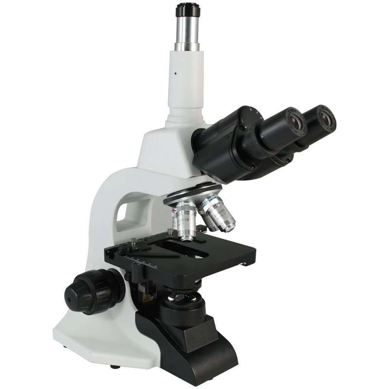 Biological Microscope